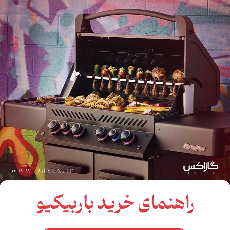 راهنمای خرید باربیکیو