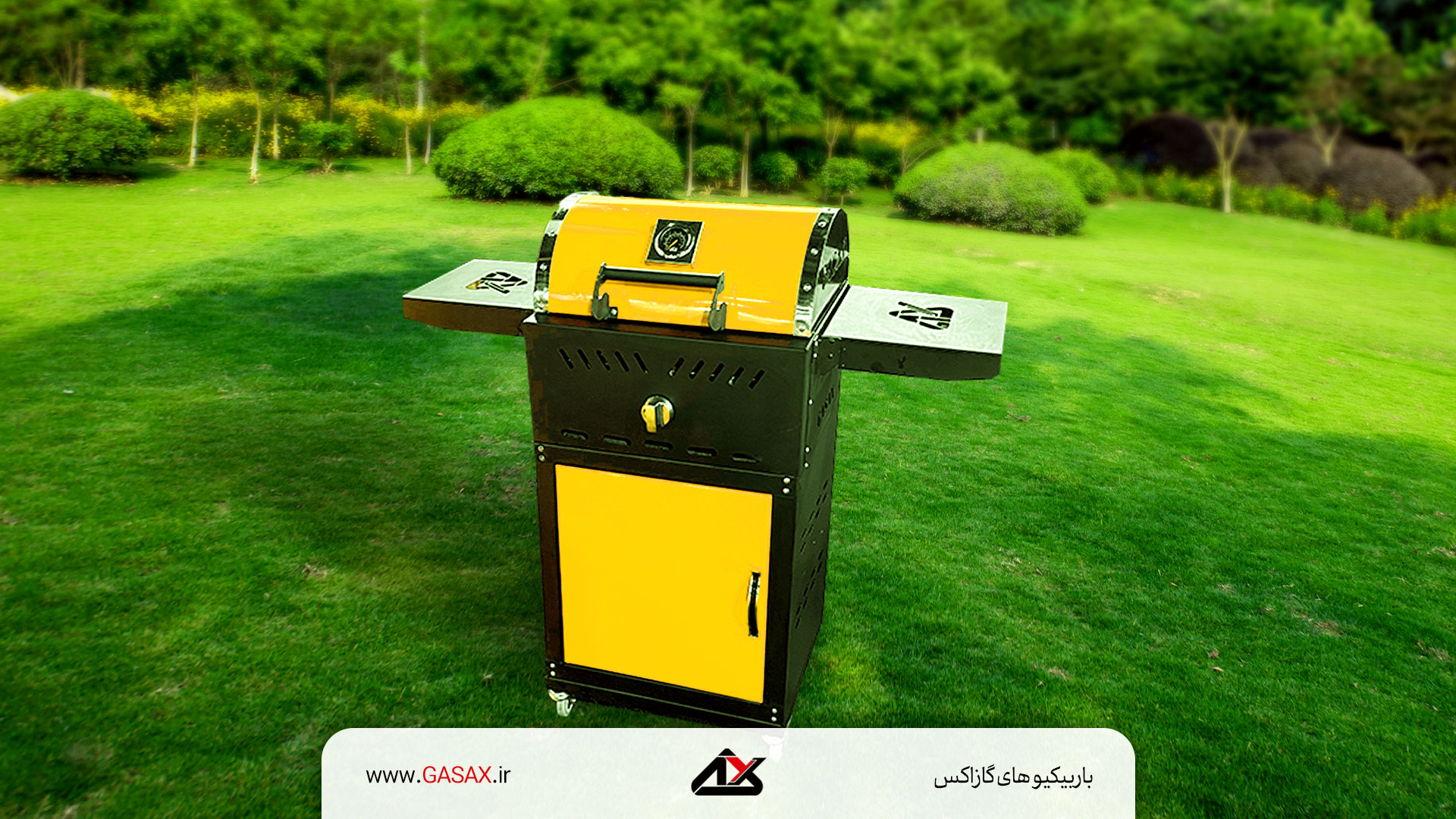 بهترین-باربیکیو